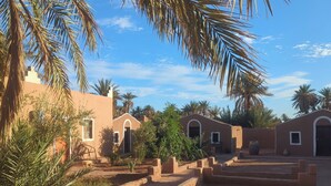 Un patio con palmeras, suelo arenoso y edificios tradicionales con arcos.