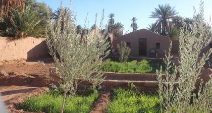 Kasbah Desert Camp