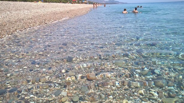 A pebble beach with clear water, people swimming, and umbrellas in the background.