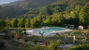 A swimming pool surrounded by a garden with a view of a forested mountain range. - Podere Conti (Filattiera)