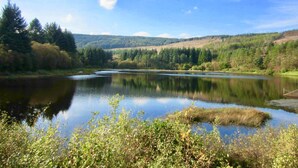 Un lac paisible, entouré d’une forêt dense et de collines.