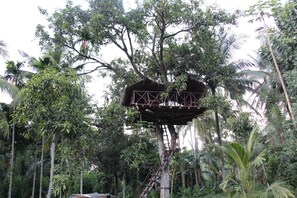 A treehouse structure built into a tall tree, surrounded by dense tropical foliage. - Xotic Resort (Mawathagama)