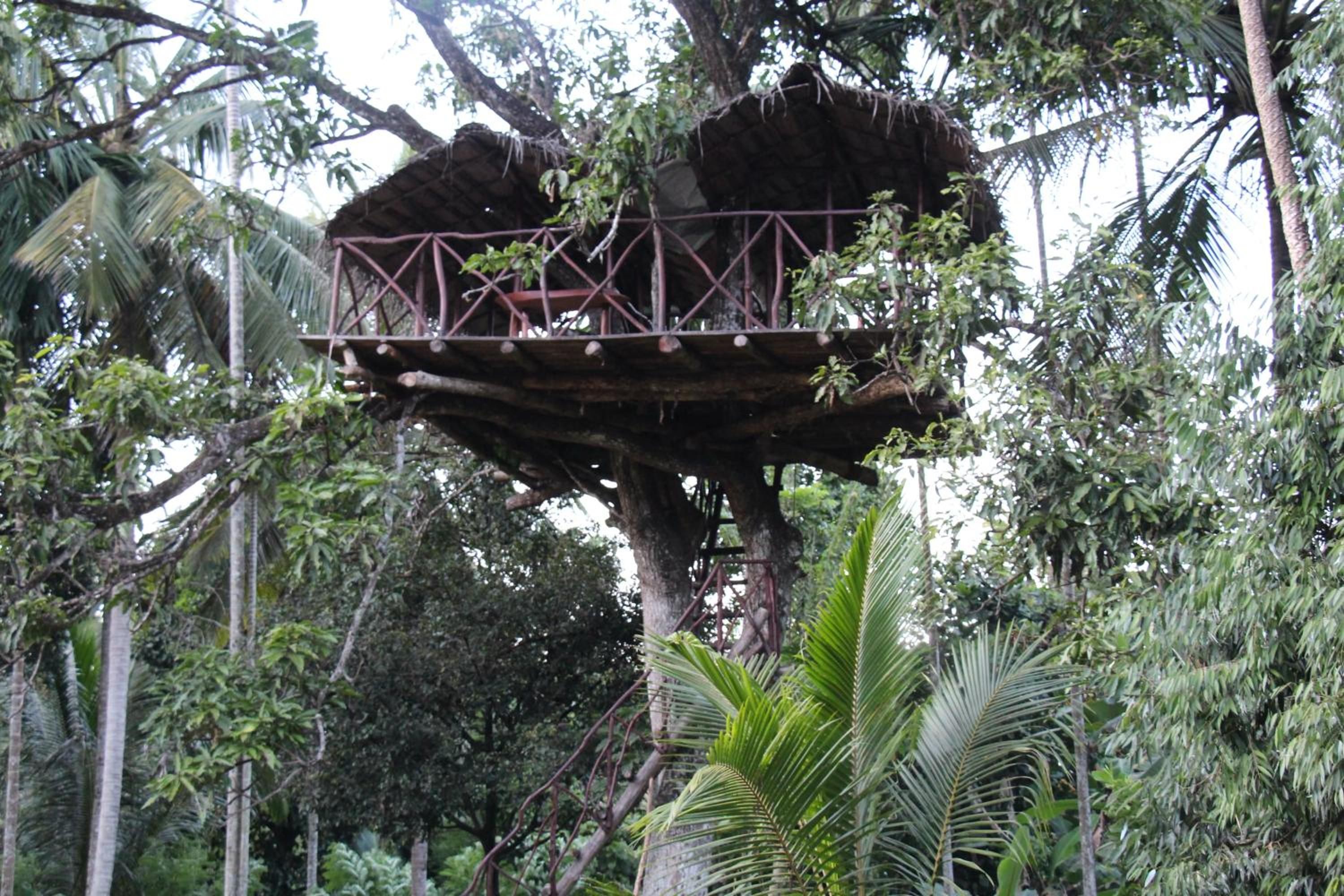 A treehouse with a metal framework and a thatched roof, surrounded by dense foliage.