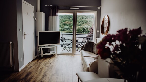 TV, DVD player, video library