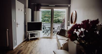 Beautiful apartment on the banks of the Seine at Vernon Giverny sleeps 4