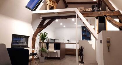 Appartement Ă  Grand Place.