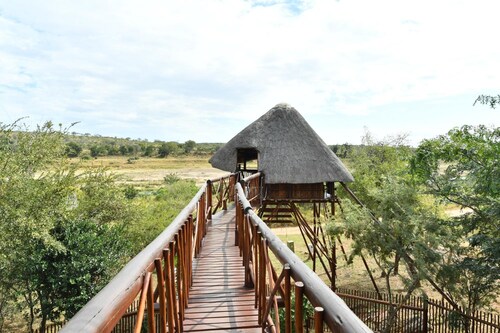 Bona Ngwenya Lodge