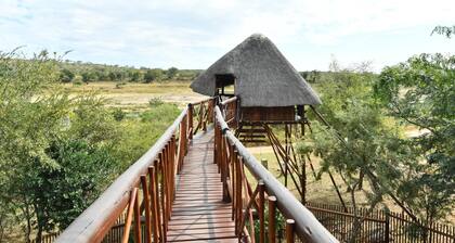 Bona Ngwenya Lodge