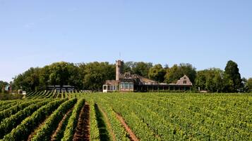 Un vignoble avec des rangées de vignes et un bâtiment historique doté d’une tour.