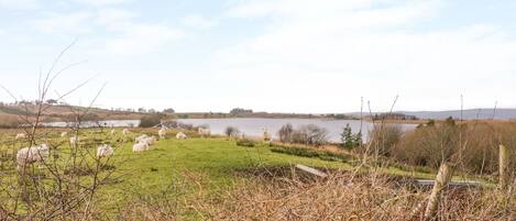 Un campo cubierto de hierba con ovejas y un lago al fondo.
