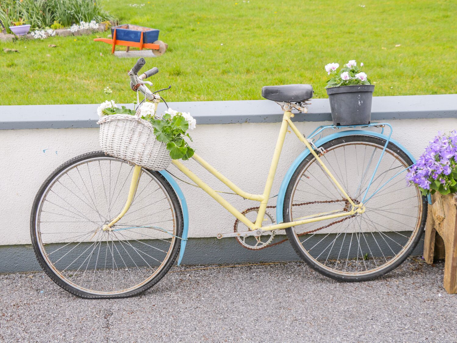 A yellow bicycle with a basket and a potted plant attached to the rear.
