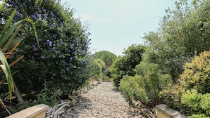 Un sendero bordeado de guijarros y rodeado de abundante vegetación y arbustos florecientes.