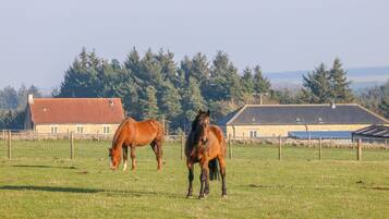 Cottage | Salle de remise en forme