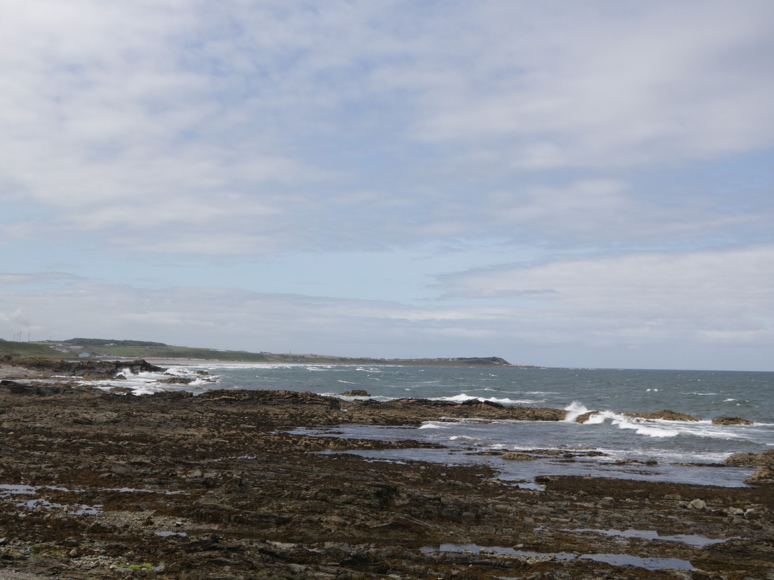 コテージ | ビ ーチ