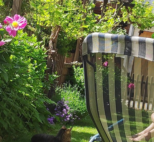 Jardines del alojamiento