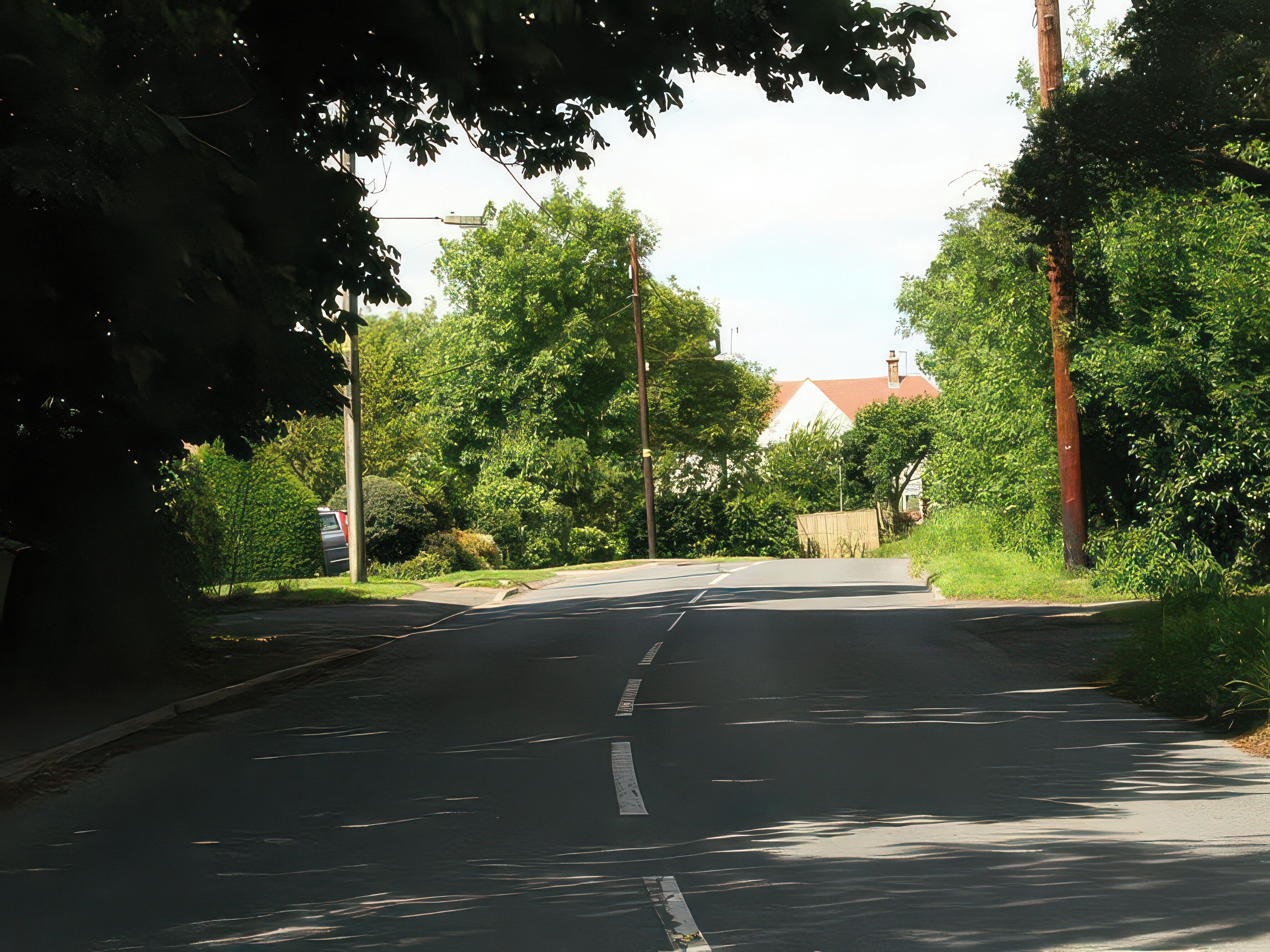 A quiet, tree-lined street with a clear road, a visible house in the distance, and a street lamp.