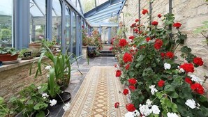 A conservatory with a glass roof, potted plants, and a patterned rug. - The Malt House (Burford)