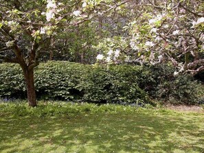 Stroll through a serene garden with lush greenery and a neatly trimmed hedge.
