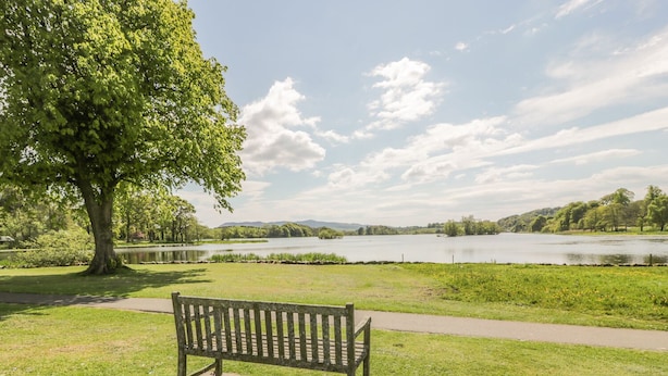 A park bench by a lake with a tree and grassy area. - Garden Cottage (Castle Douglas)