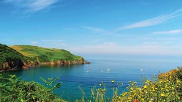 A coastal landscape with green hills, a clear blue sky, and calm sea with boats.