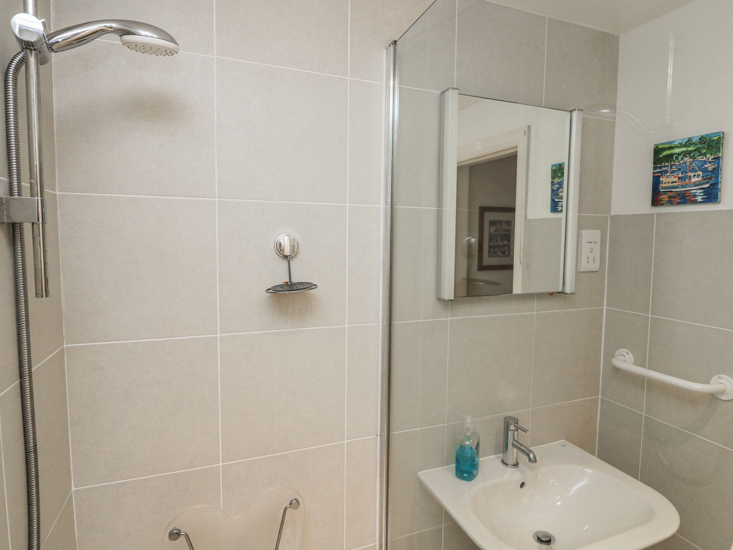 Une salle de bain avec une douche, un lavabo et un miroir.