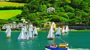 A coastal scene with sailboats on the water, a ferry, and houses on the hillside. - Wedgwood (Salcombe)