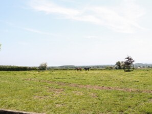 Cottage | Ngoại thất