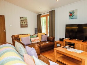 村舍 | 起居区 | 电视