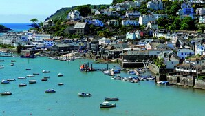 A coastal town with numerous boats docked in the harbor, surrounded by densely packed houses with varied architectural styles. - Westland (Salcombe)