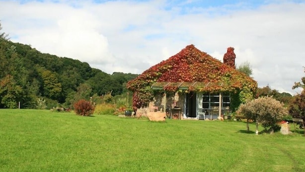 Una casa con techo rojo cubierto de hojas, rodeada por un campo verde y árboles.