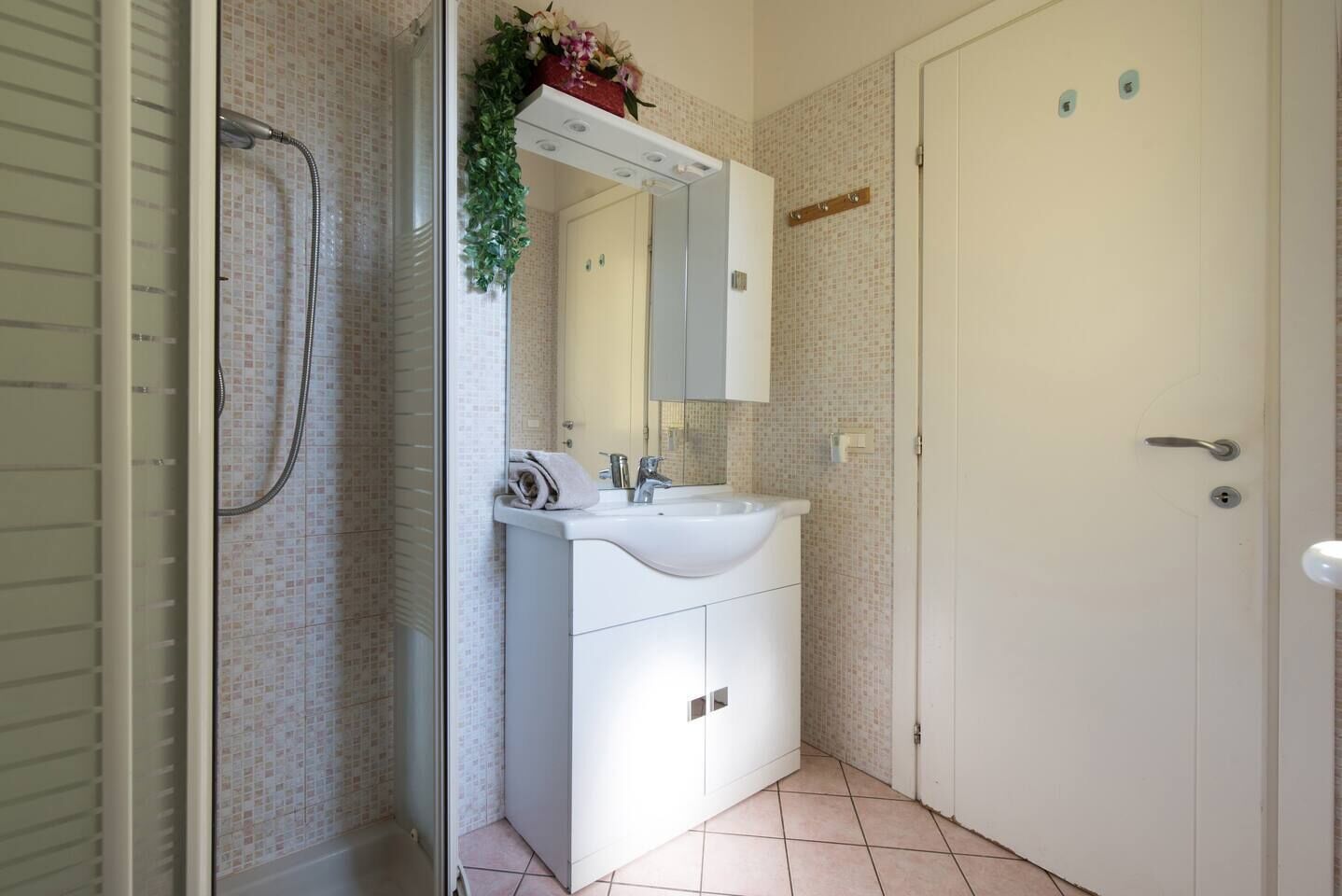 Une salle de bain avec une douche, un lavabo et un miroir.