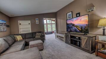 TV connectée, cheminée, lecteur de DVD, livres