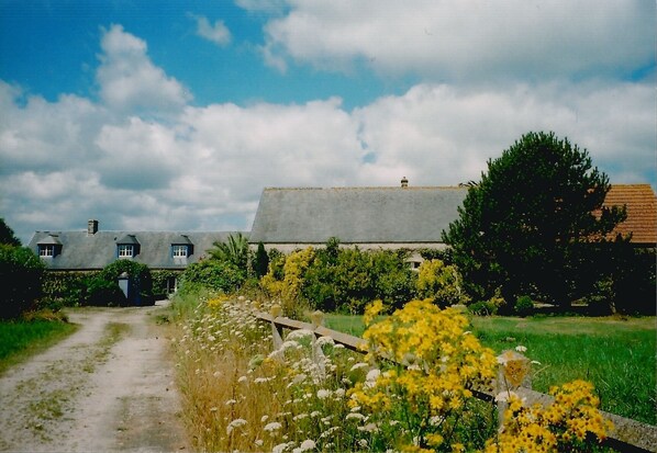 A rural house with a dirt path leading to it, surrounded by greenery and flowering plants.