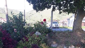 施設の敷地