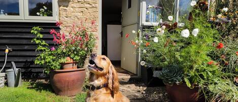 Ferienhaus | Außendetails