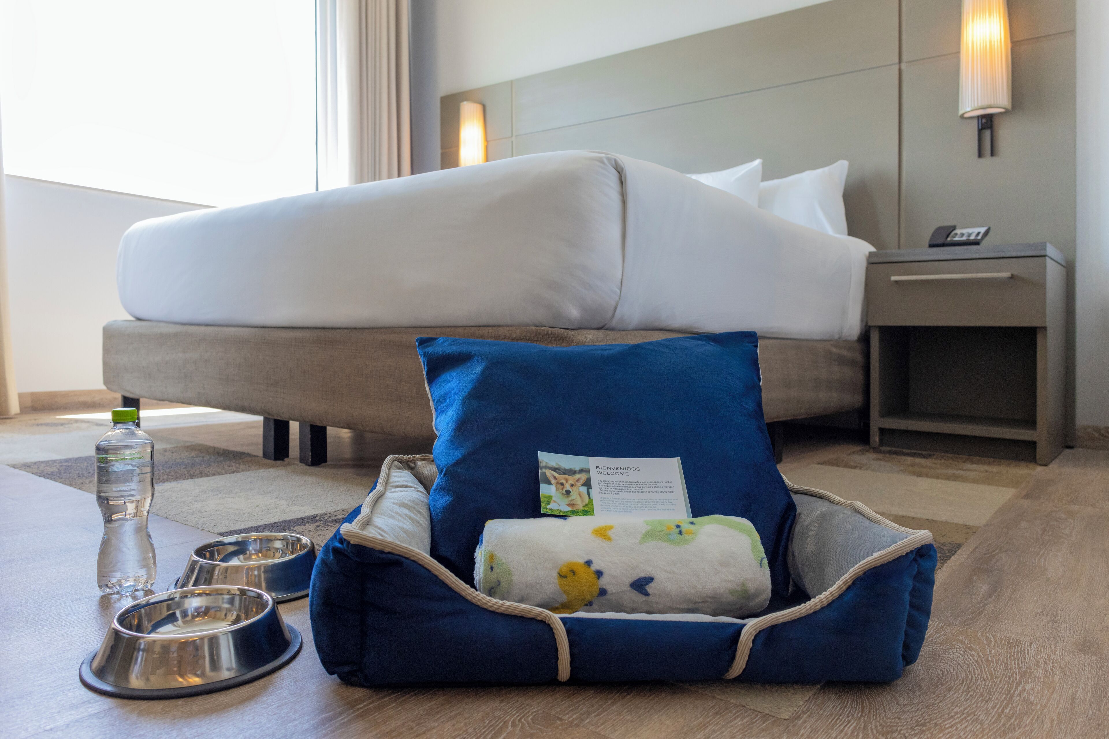 Een hotelkamer met een bed, een nachtkastje, een waterfles, twee voerbakken en een dierenbed.