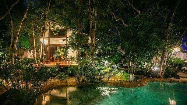 Et hus omgivet af frodig vegetation og en klar pool om natten.