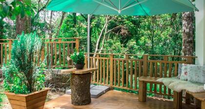 Hotel Cozumel Sierra