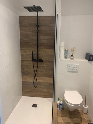 Shower, towels, toilet paper