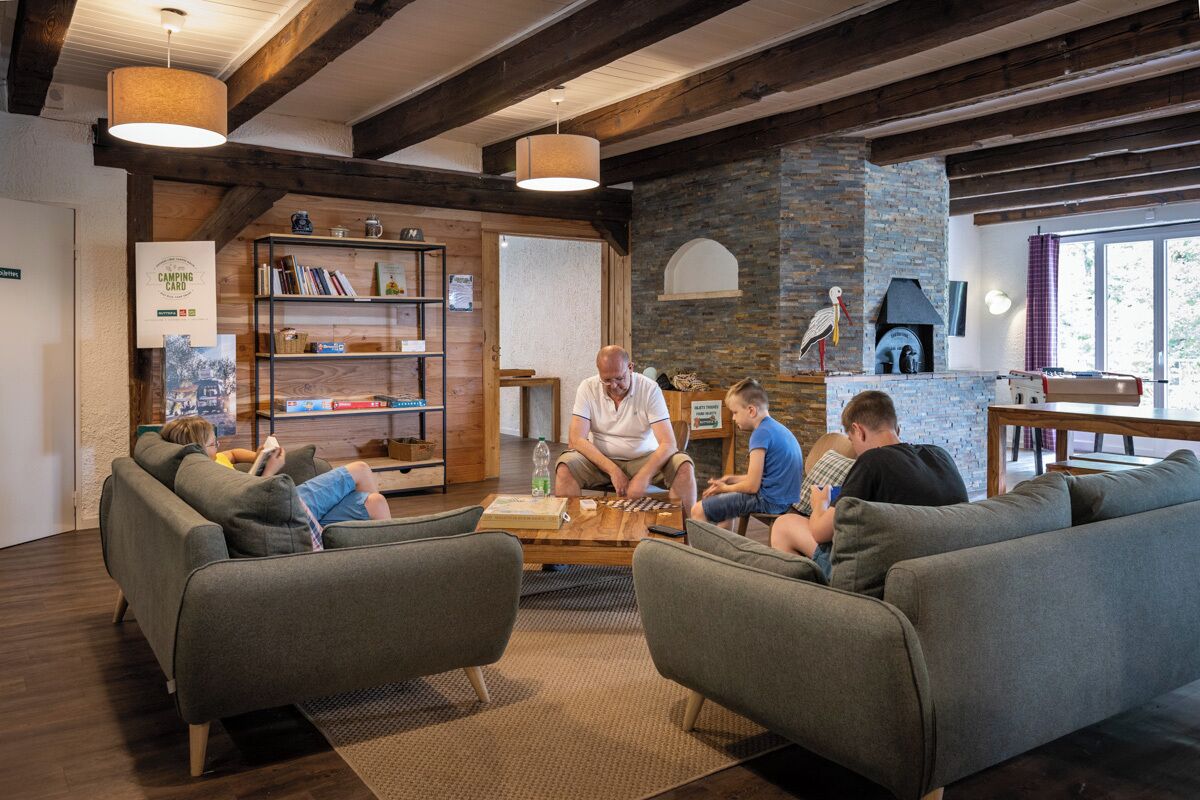 A cozy indoor setting with a fireplace, bookshelves, and comfortable seating.