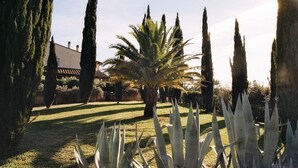 Un jardín bien cuidado con altos cipreses, una palmera y plantas de agave.