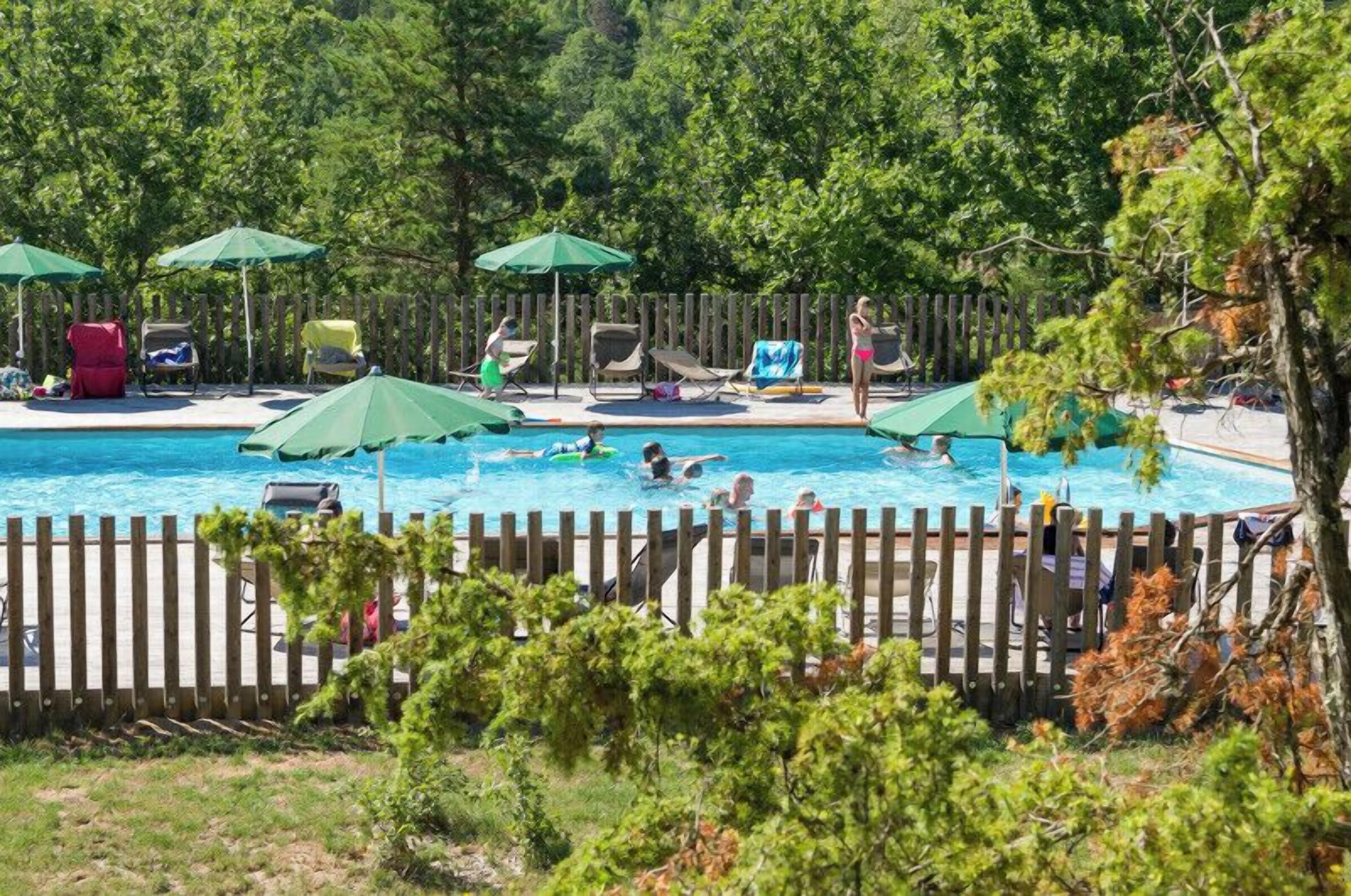 A swimming pool surrounded by lounge chairs and umbrellas, with a wooden fence and trees in the background.