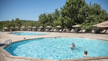 A pool area with multiple lounge chairs and umbrellas, surrounded by trees.