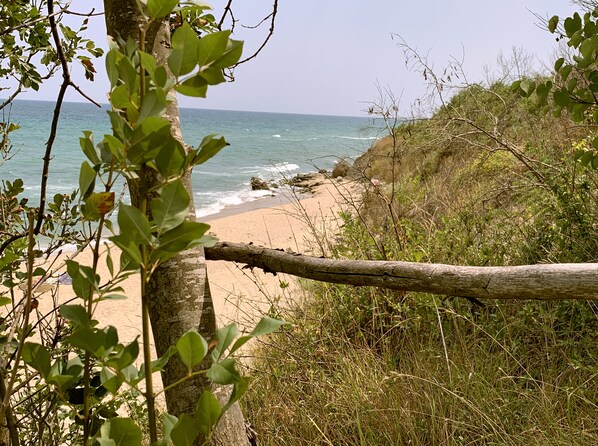 Una spiaggia nelle vicinanze