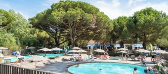 Huttopia Ile de Ré - Chardons bleus