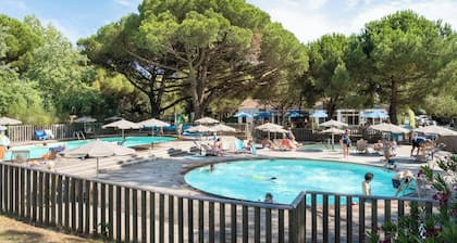 Huttopia Ile de RĂ© - Chardons bleus