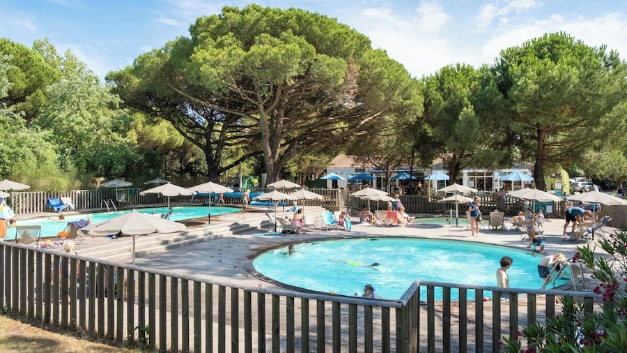 Huttopia Ile de RĂ© - Chardons bleus