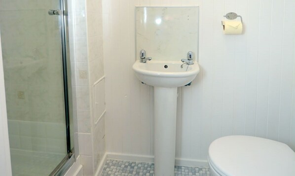 A bathroom with a glass shower enclosure, a pedestal sink, and a toilet.