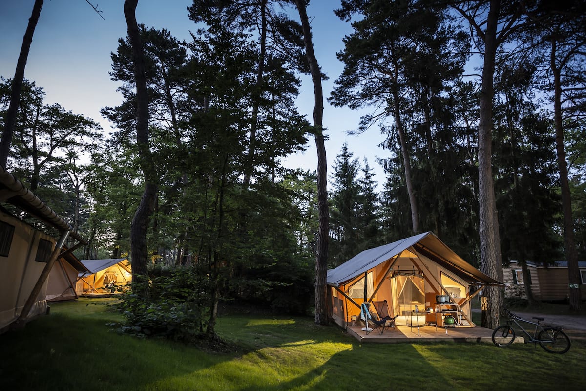 Un terrain de camping situé dans une forêt, avec deux tentes, dont une avec un porche, et un vélo.