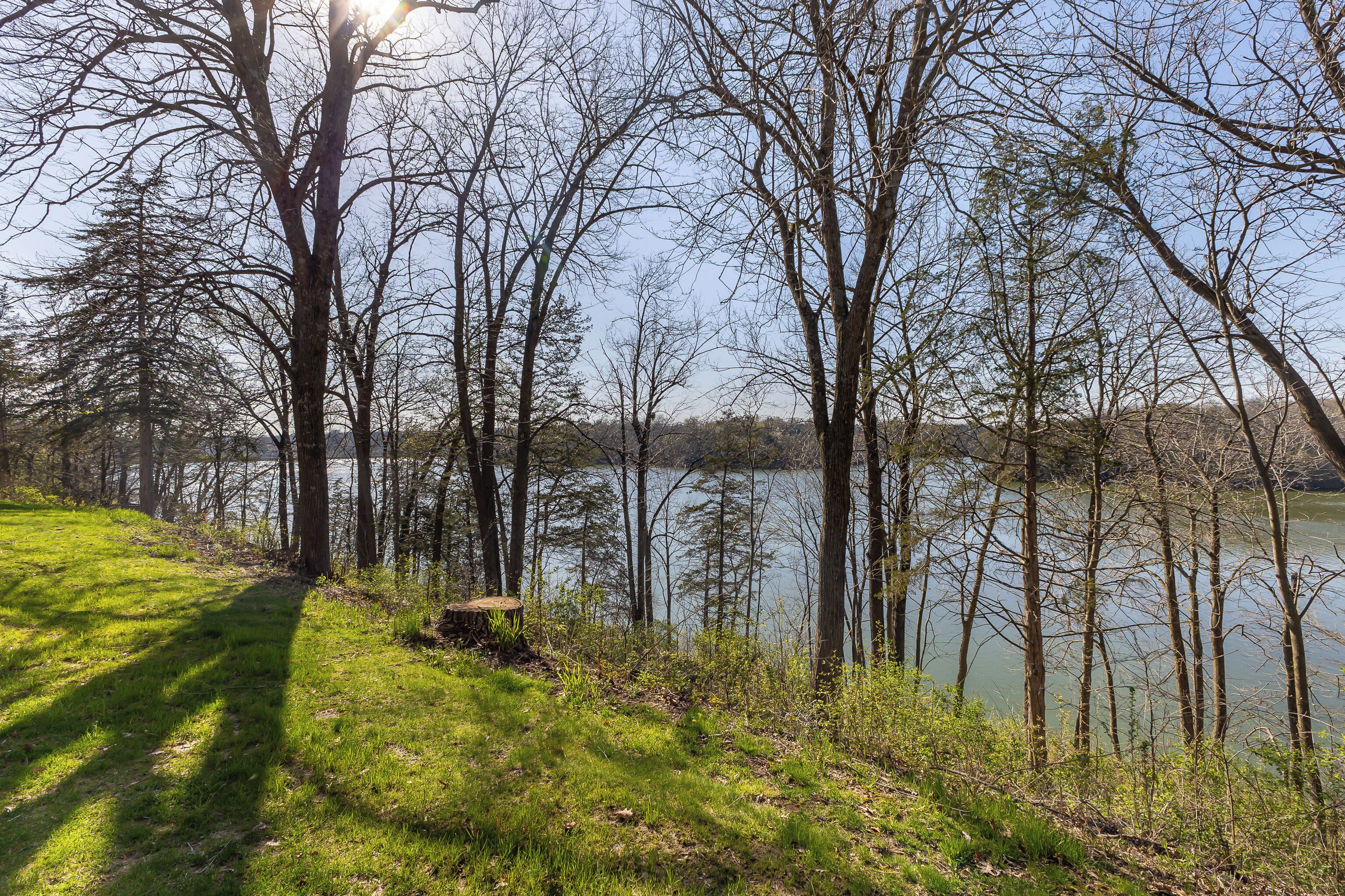 A natural landscape with a grassy path leading to a body of water, surrounded by trees.